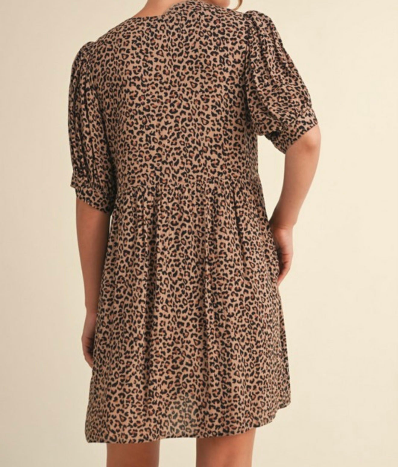 Leopard Print Tie Dress