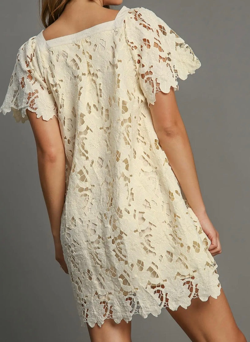 Quiet Charm Lace Mini Dress