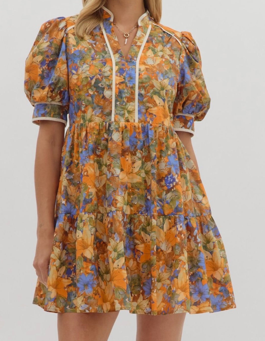Between Seasons Puff Sleeve Dress