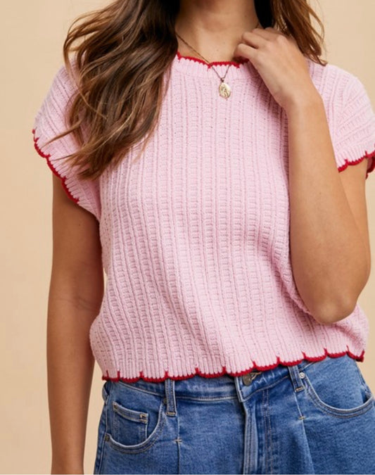 Scalloped Edge Pointelle Sweater Top
