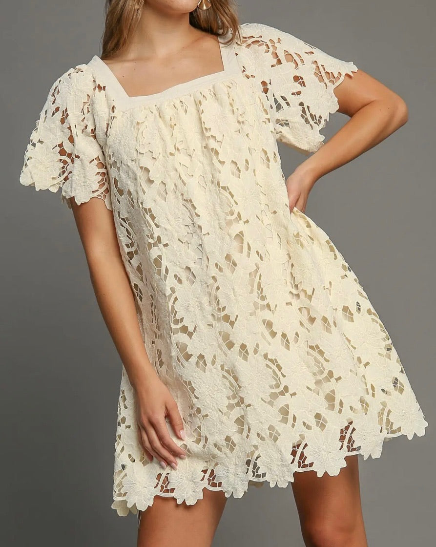 Quiet Charm Lace Mini Dress