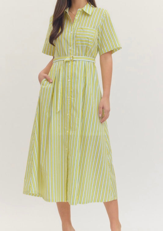 The Summer Shandy Stripe Dress