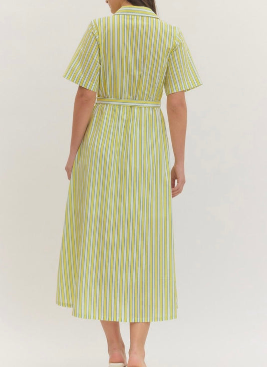The Summer Shandy Stripe Dress