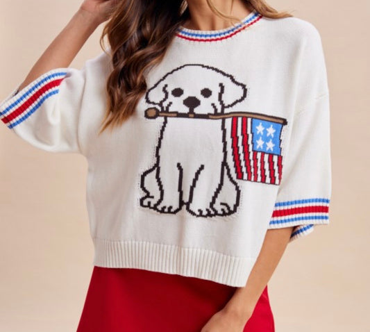 American Flag Dog Knit Sweater
