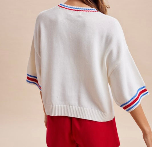 American Flag Dog Knit Sweater