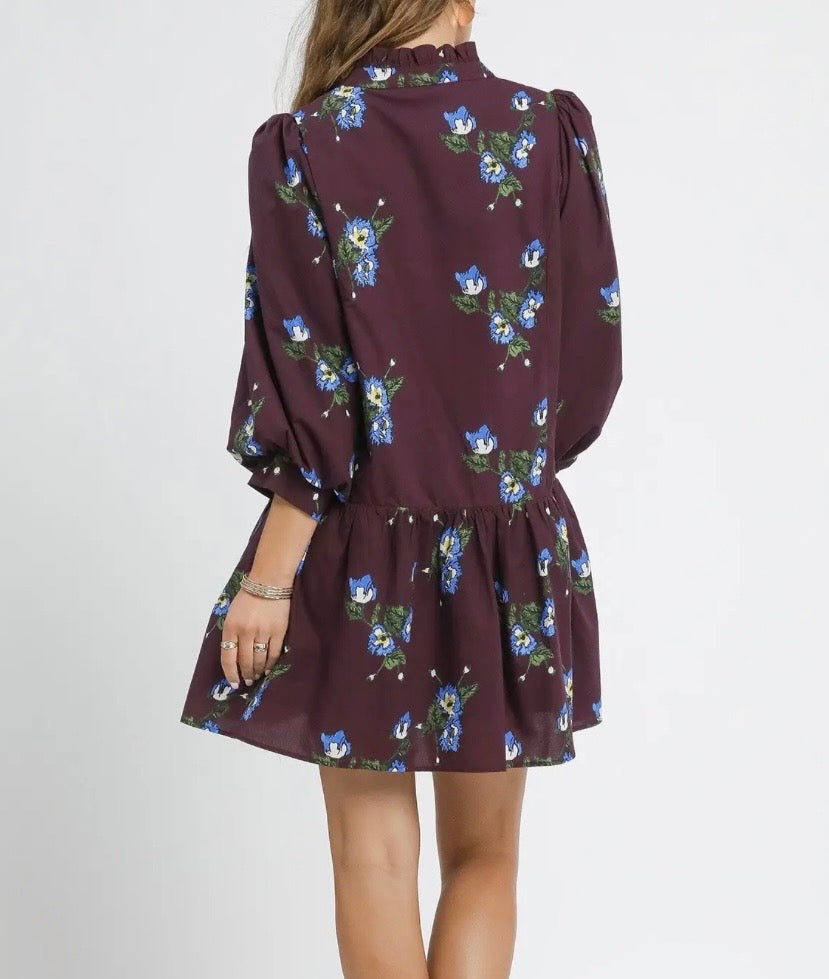 Plum Petals & Periwinkle Dress