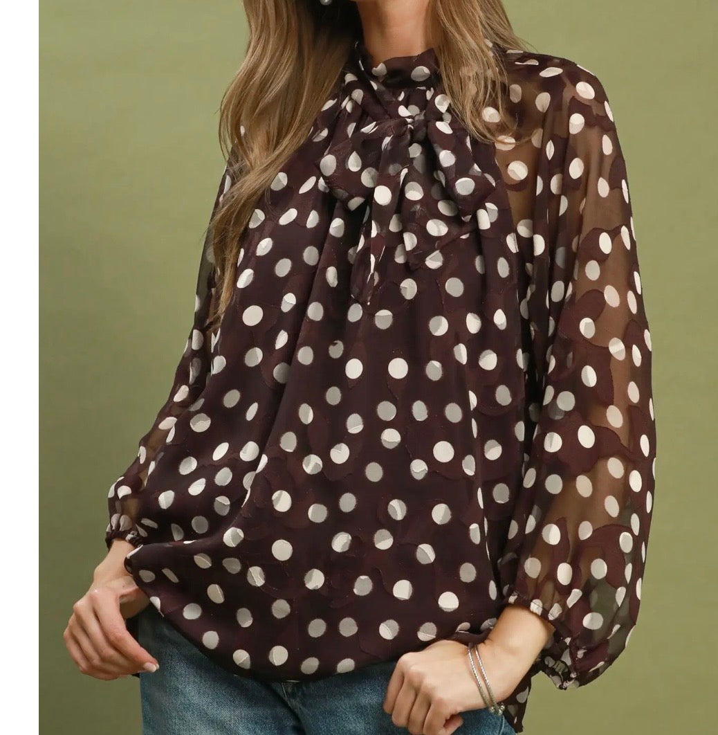 Chocolate Polka Dot Sheer Top