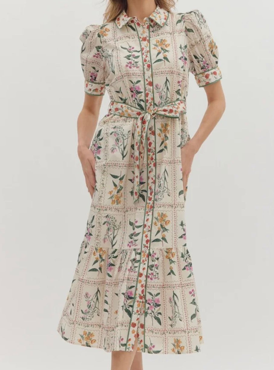Pride & Prejudice Herbarium Dress