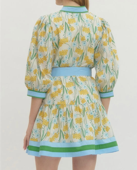 Sunshine Fields Trimmed Mini Dress